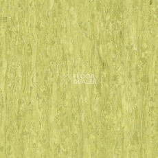 Линолеум Tarkett iq Optima Yellow Green 0254 фото 1 | FLOORDEALER